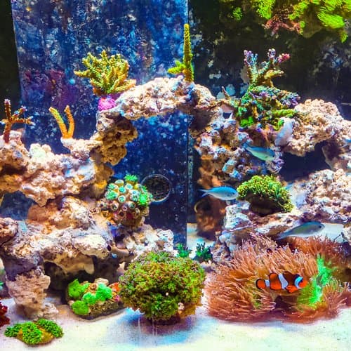 Камни ARKA myReef-Rocks, микс 20 кг