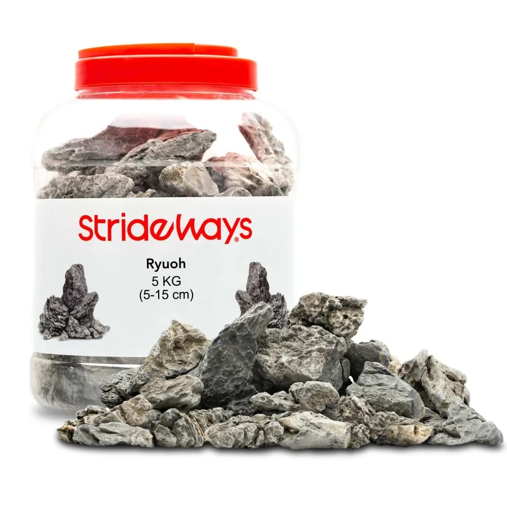 Strideways Ryuoh kivi pudelis 5 kg