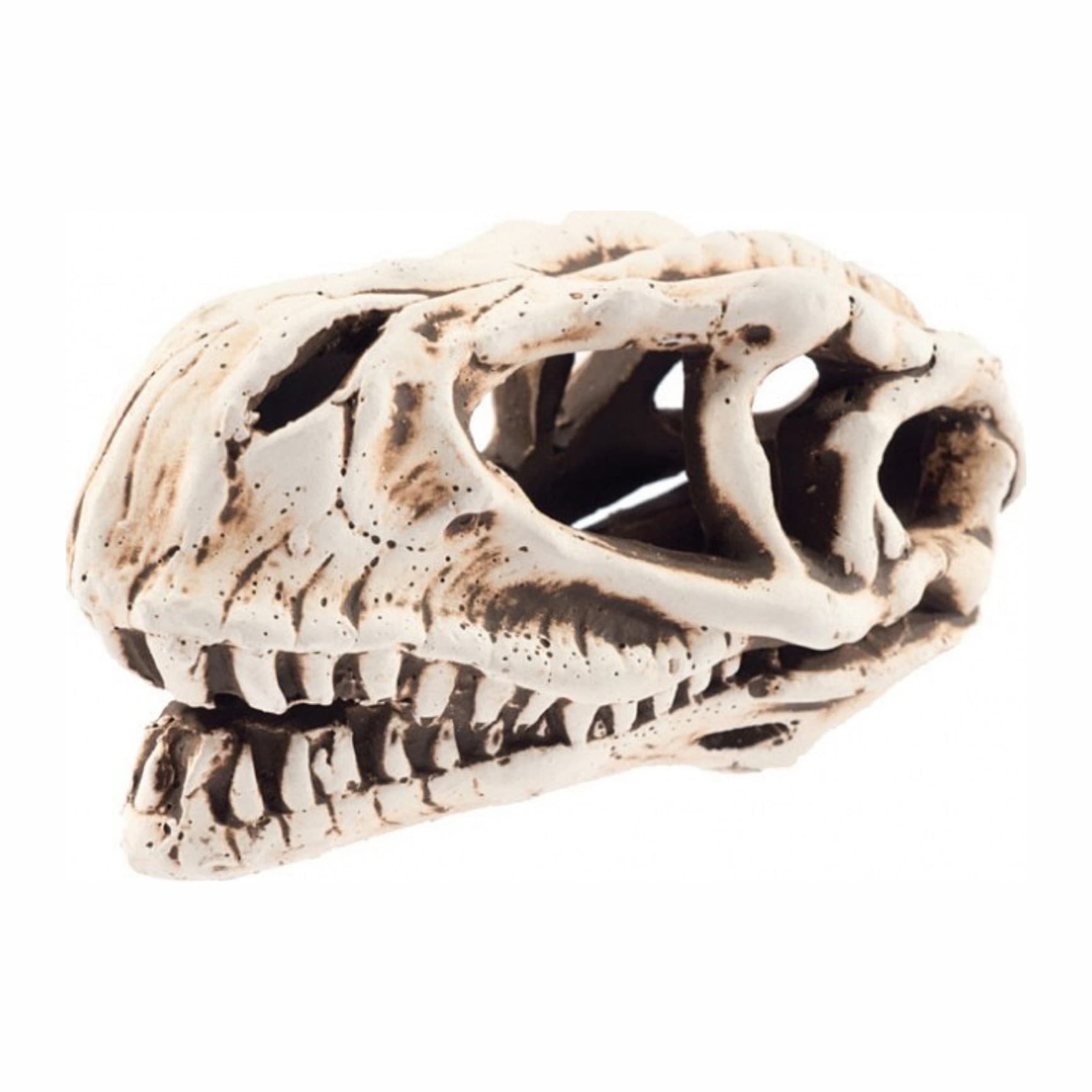 Aqua Nova keraamiline dinosauruse kolju 14 × 7 × 7 cm