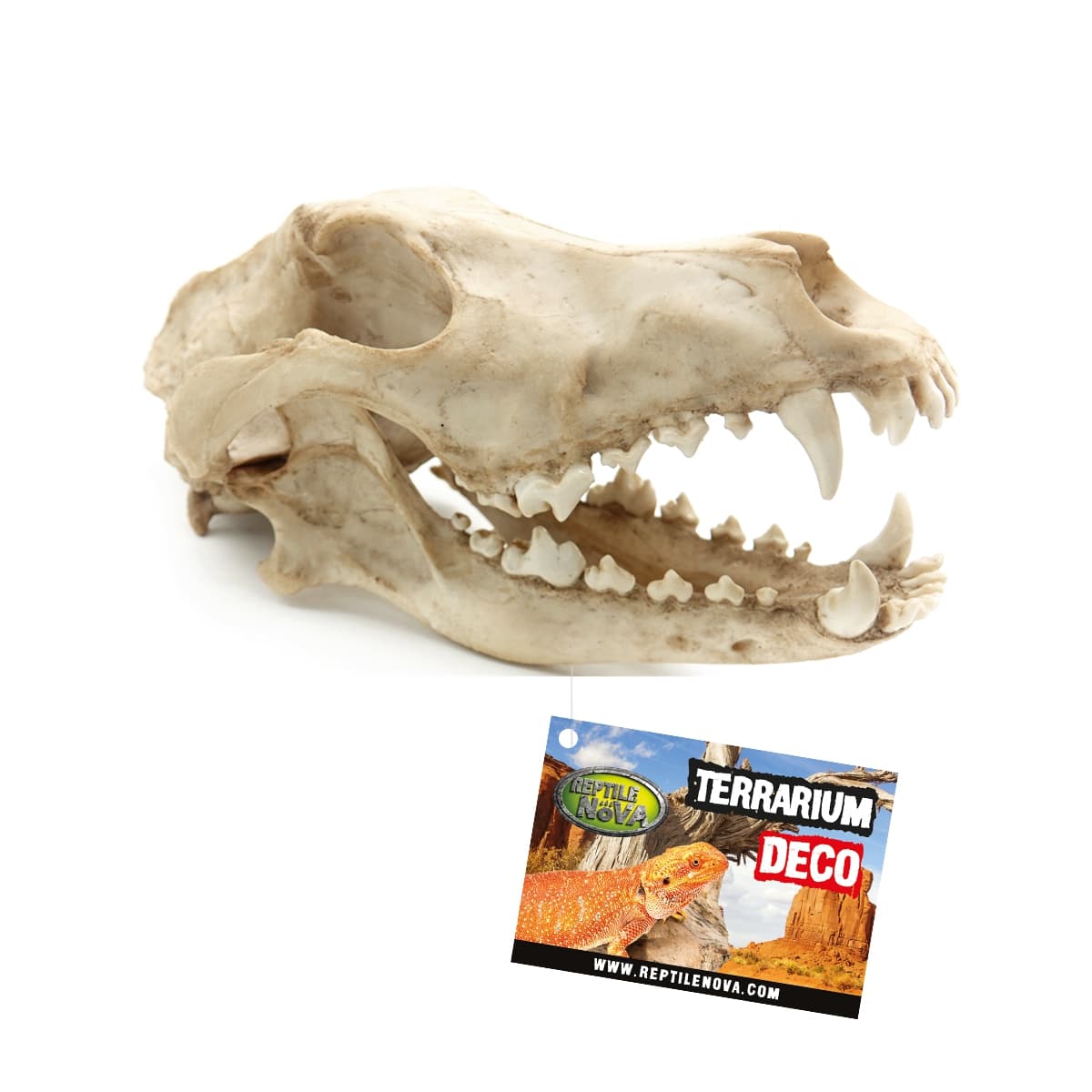 Reptile Nova Wolf Skull Terrarium Ornament