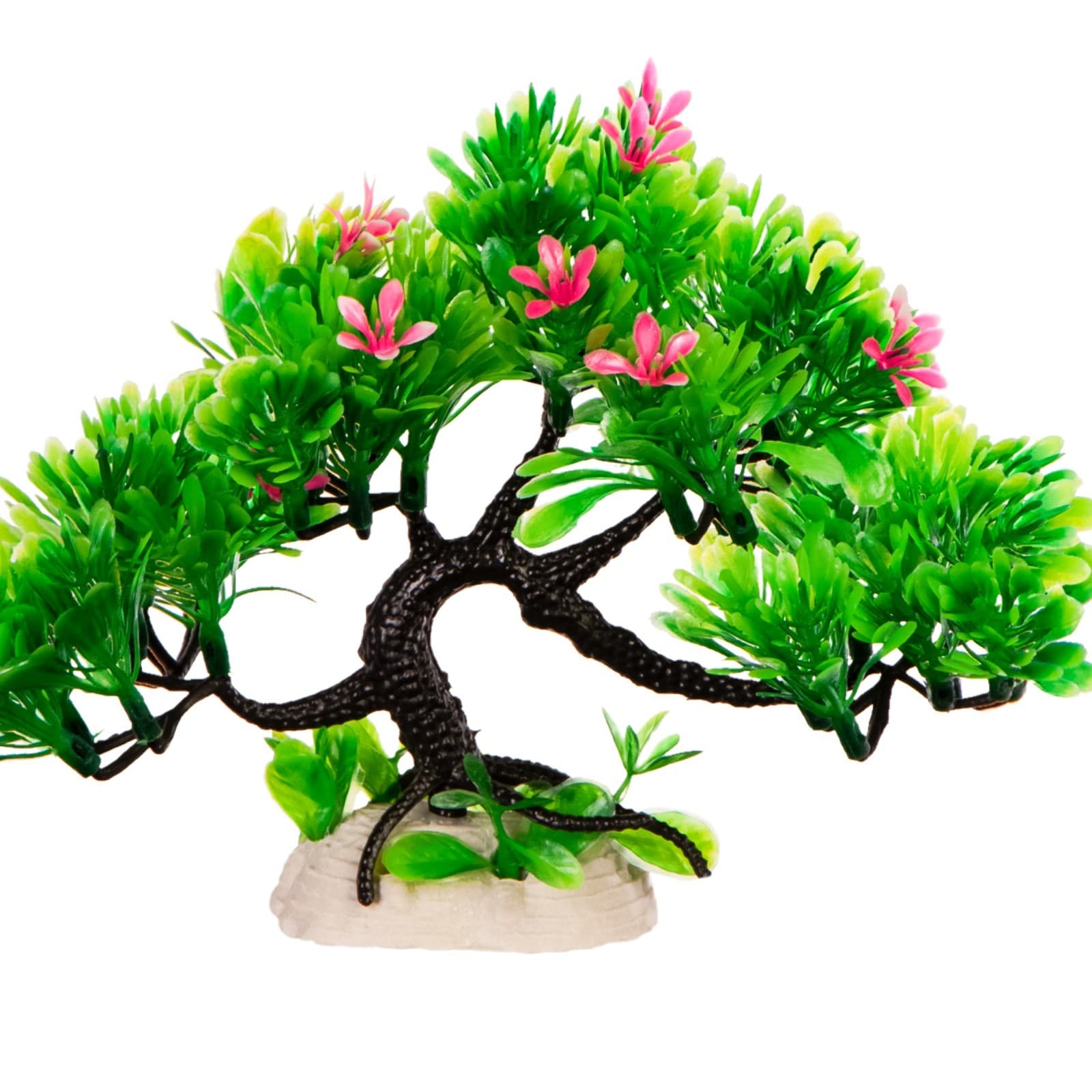 Kruger Meier Plant Flowering Pink Tree kunsttaim