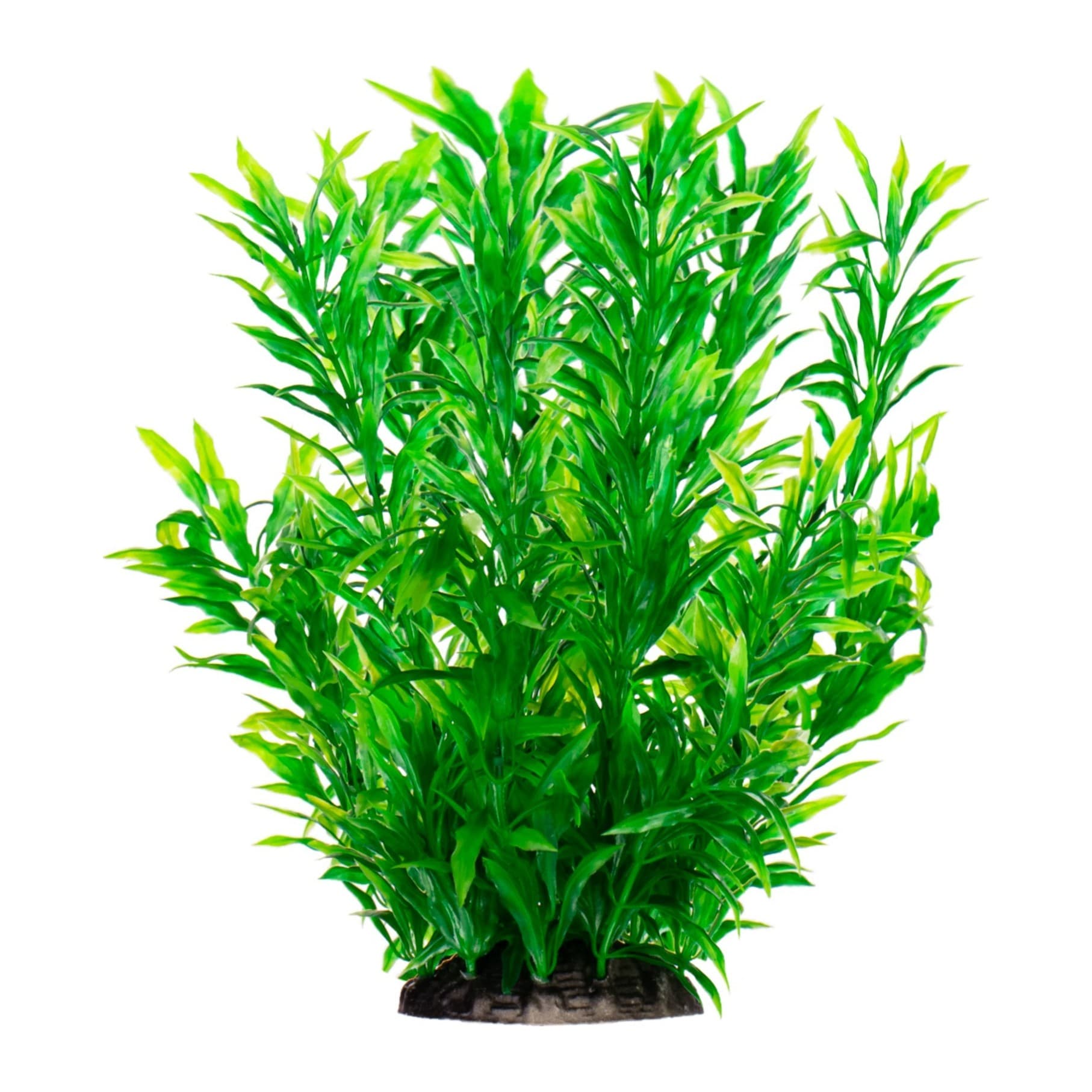 Kruger Meier Plant Flowing kunsttaim