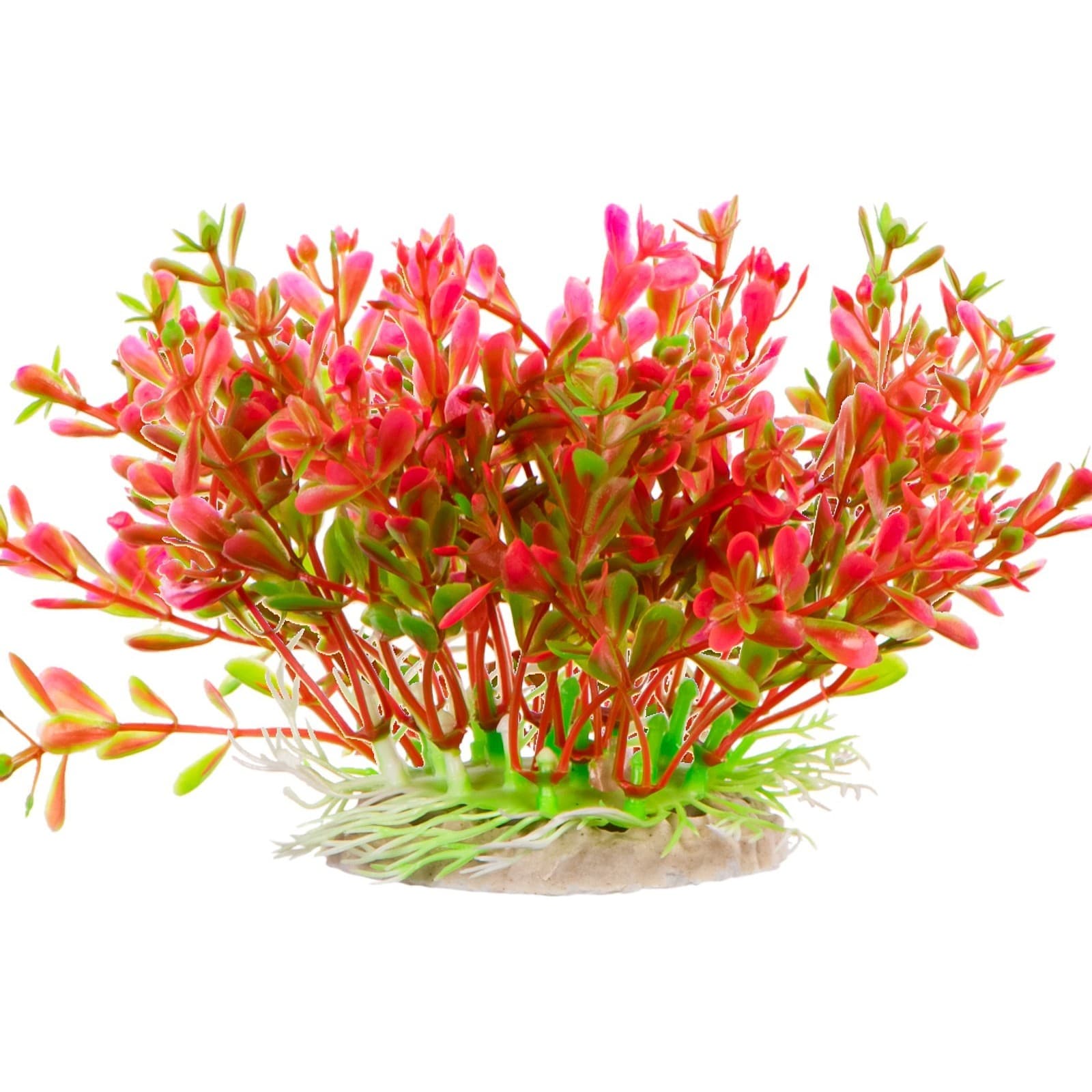 Kruger Meier Plant Fluo Big kunsttaim