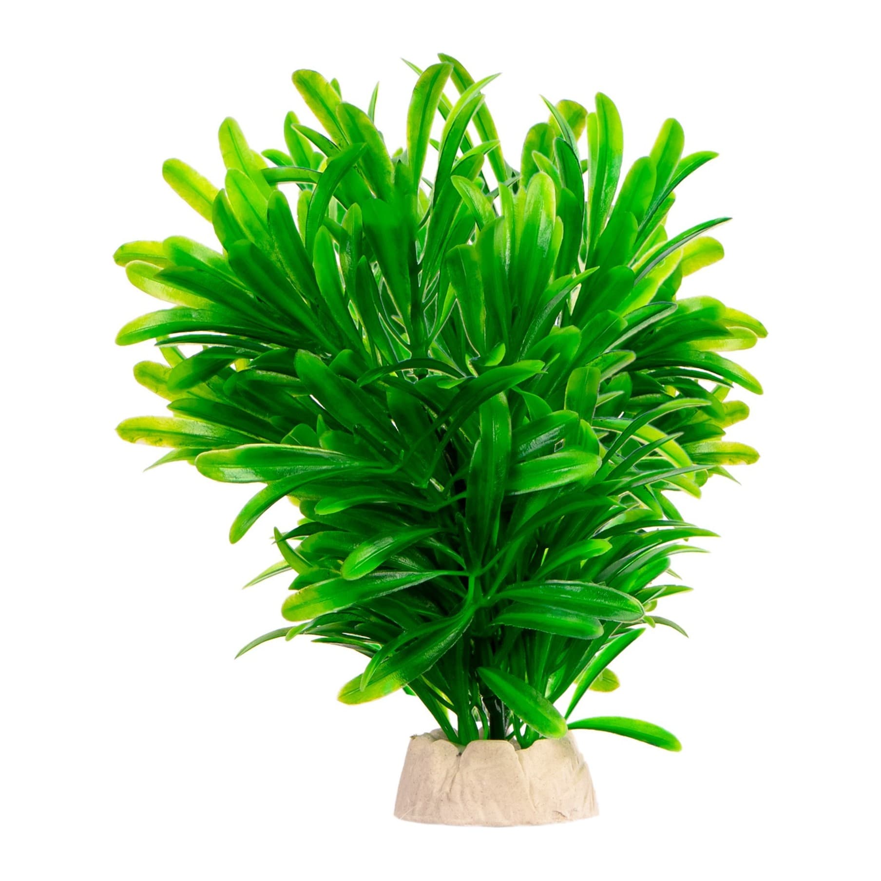 Kruger Meier Plant Green Blade kunsttaim