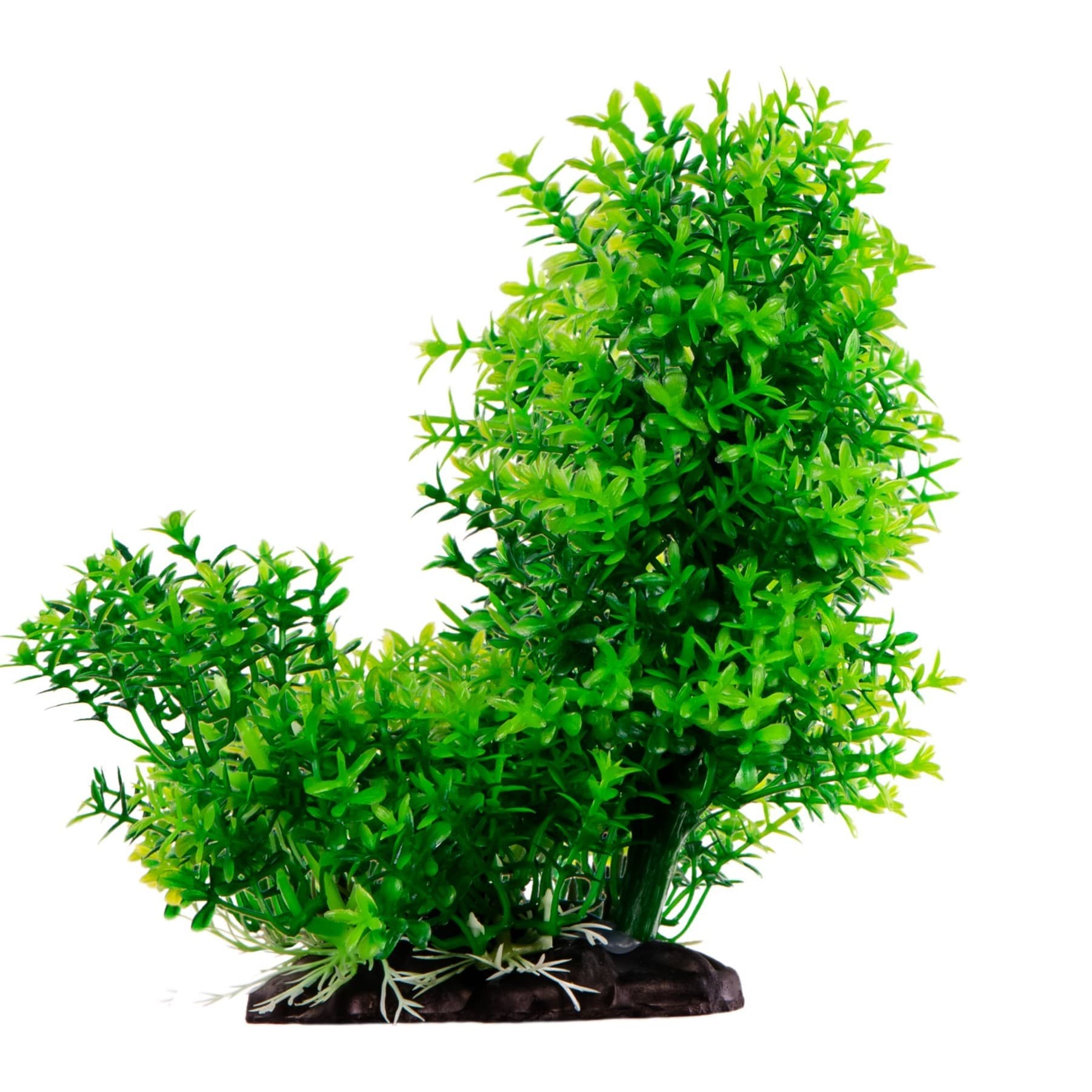 Kruger Meier Plant Green Bush kunsttaim