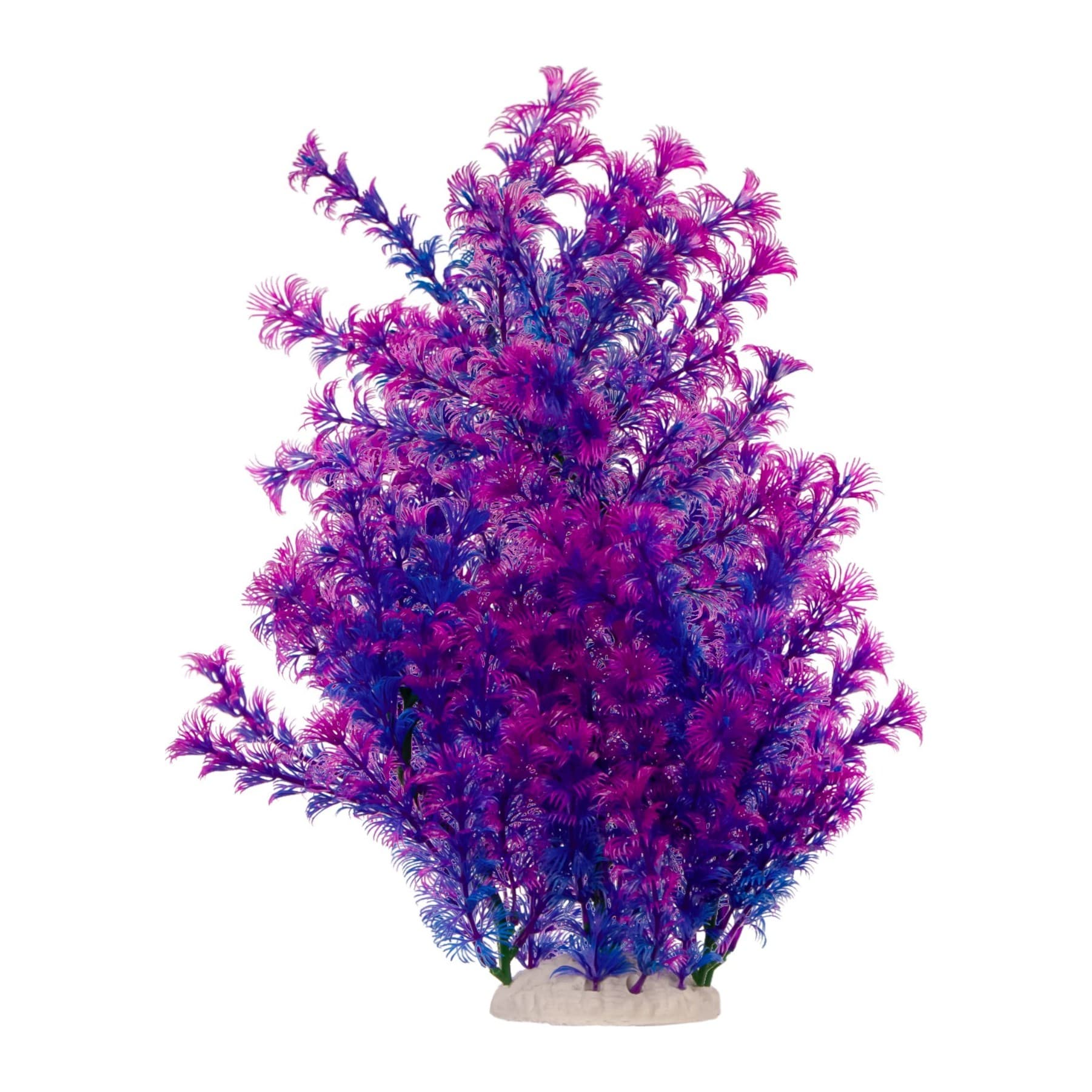 Kruger Meier Plant Ocean kunstlik akvaariumitaim