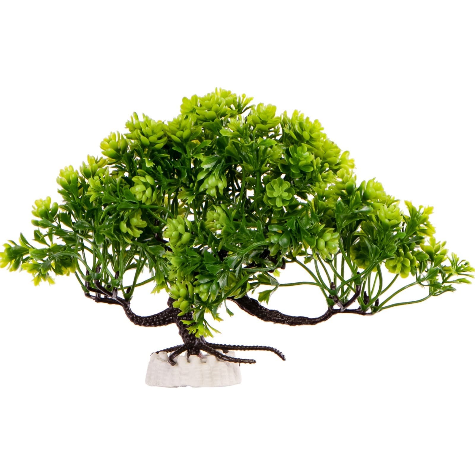 Kruger Meier Plant Zen Bonsai tehistaim