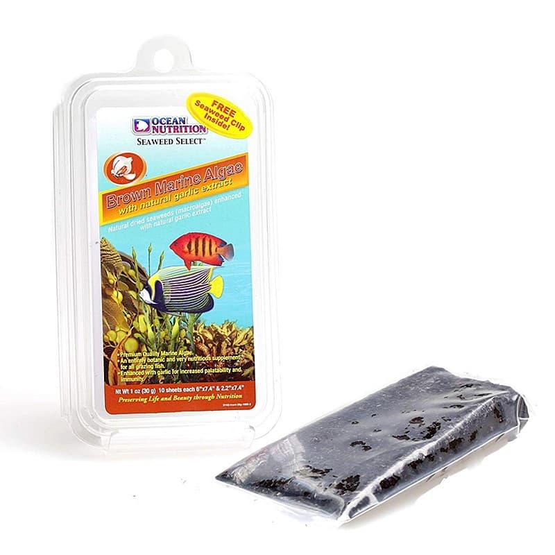Ocean Nutrition Seaweed Brown merevetikad küüslauguga kaladele, 12 g