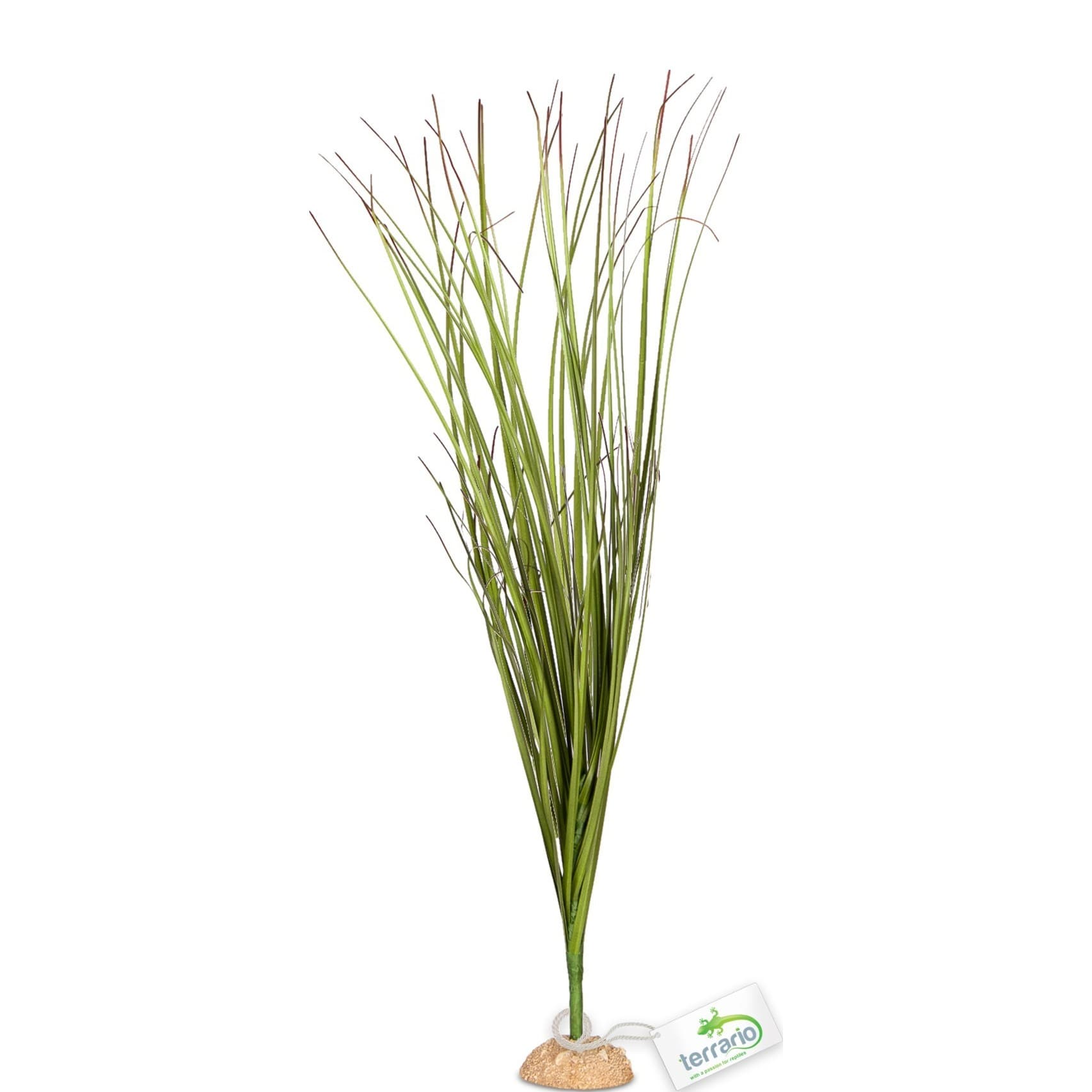 Terrario Tall Grass tehistaim, 15 x 7 x 41 cm