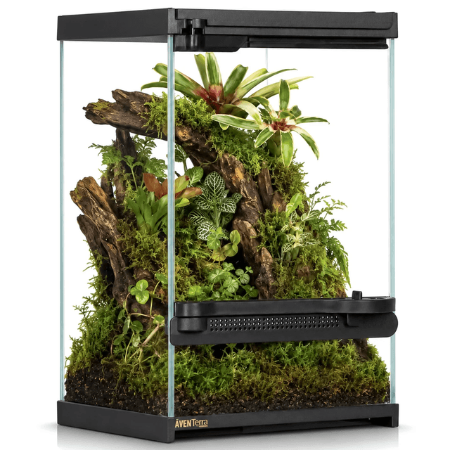 Aventerra Vetrano klaasterraarium 20 × 20 × 30 cm
