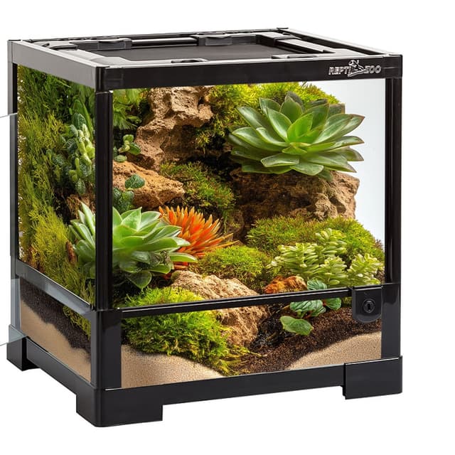 Repti-Zoo klaasterraarium 30 × 30 cm
