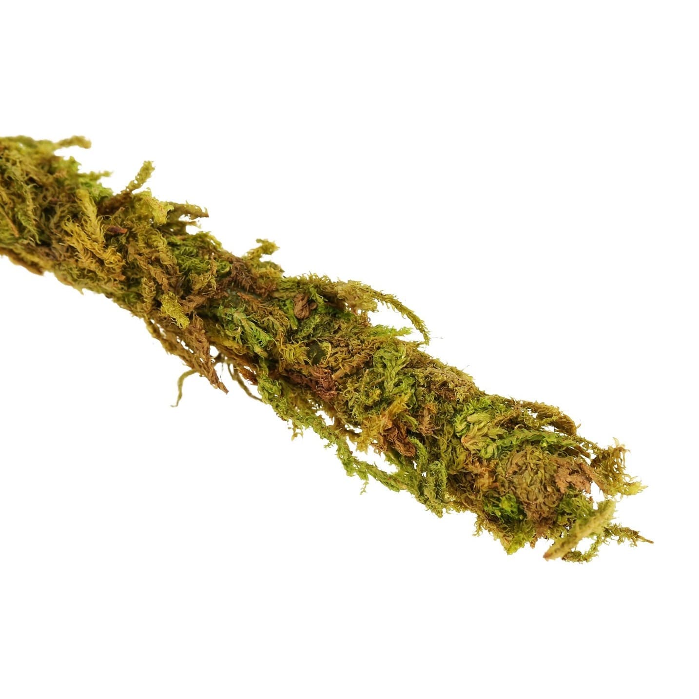 Repti-Zoo Bendable Vine with Natural Moss 1.5 x 200 cm
