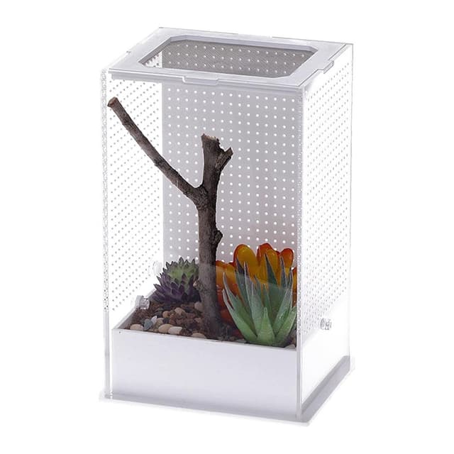 Repti-Zoo Mantis Box M akrüülterraarium palvetajaritsikatele