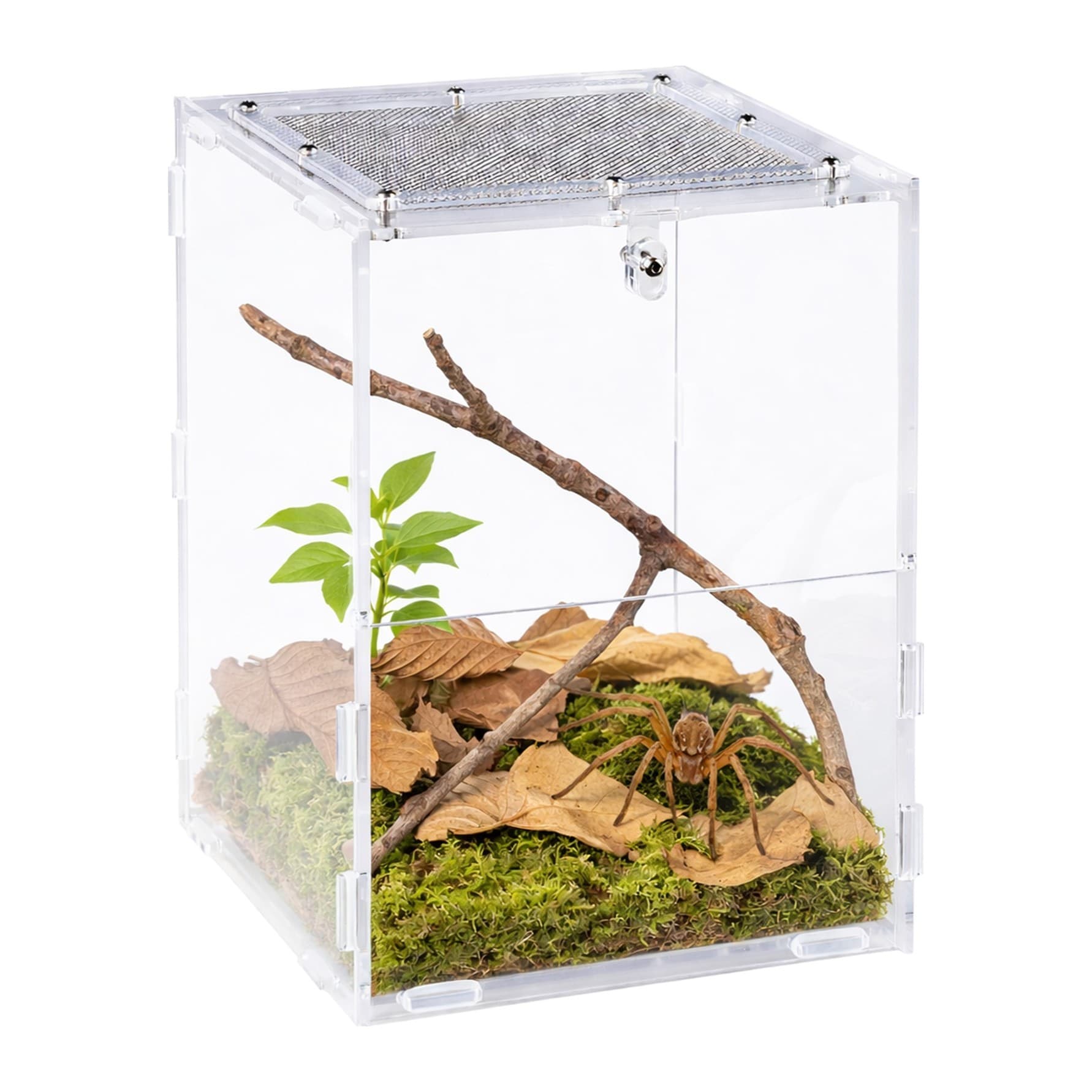 Repti-Zoo PACR85 akrüülterraarium 150 × 165 × 215 mm
