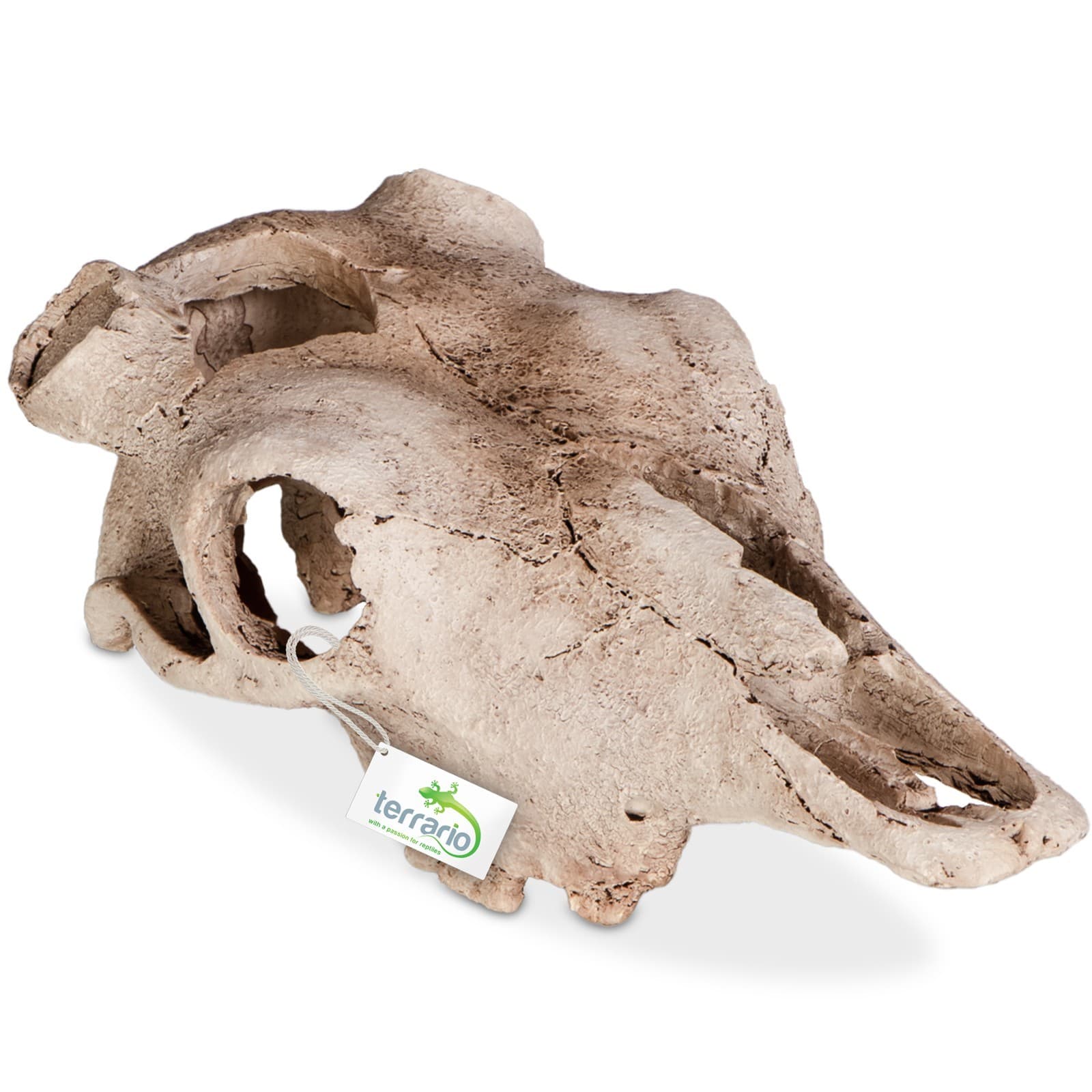 Terrario Buffalo Skull terraariumi dekoratsioon, 21 x 12 x 8 cm