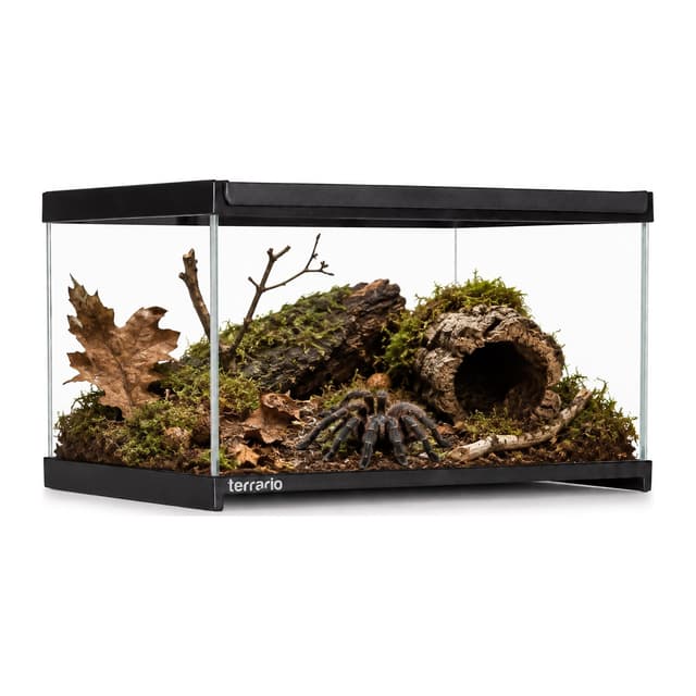 Terrario Frevo Clear klaasterraarium, 30 x 20 x 17 cm