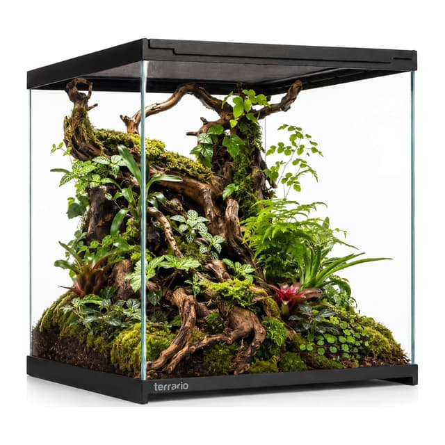 Terrario Frevo Clear klaasterraarium, 30 x 30 x 30 cm