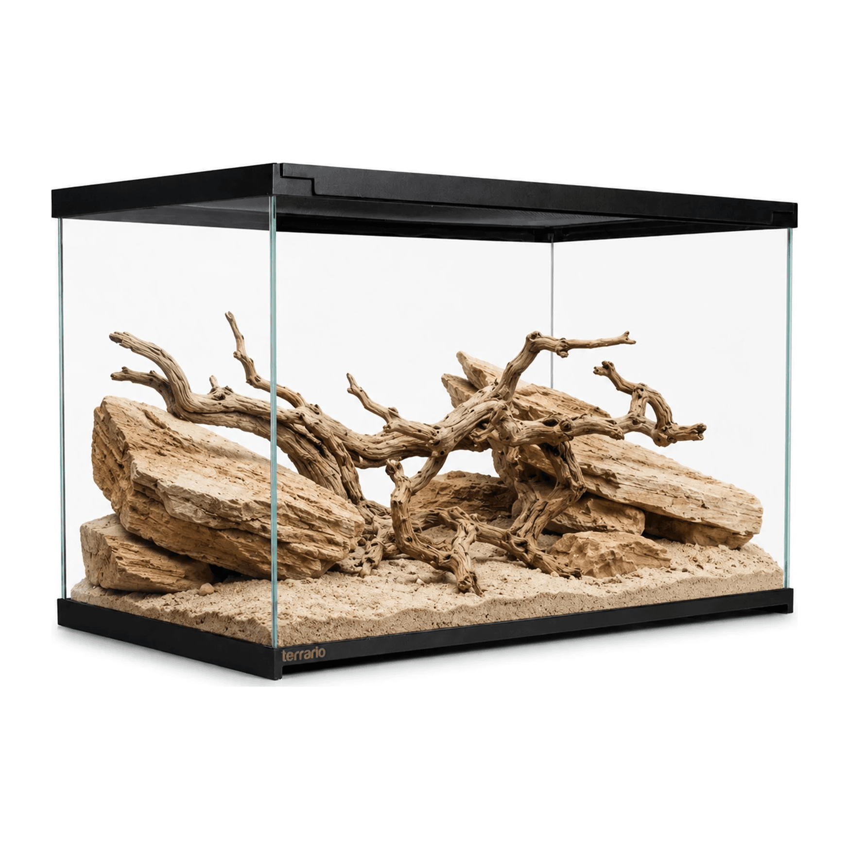 Terrario Frevo Clear klaasterraarium, 50 x 30 x 30 cm
