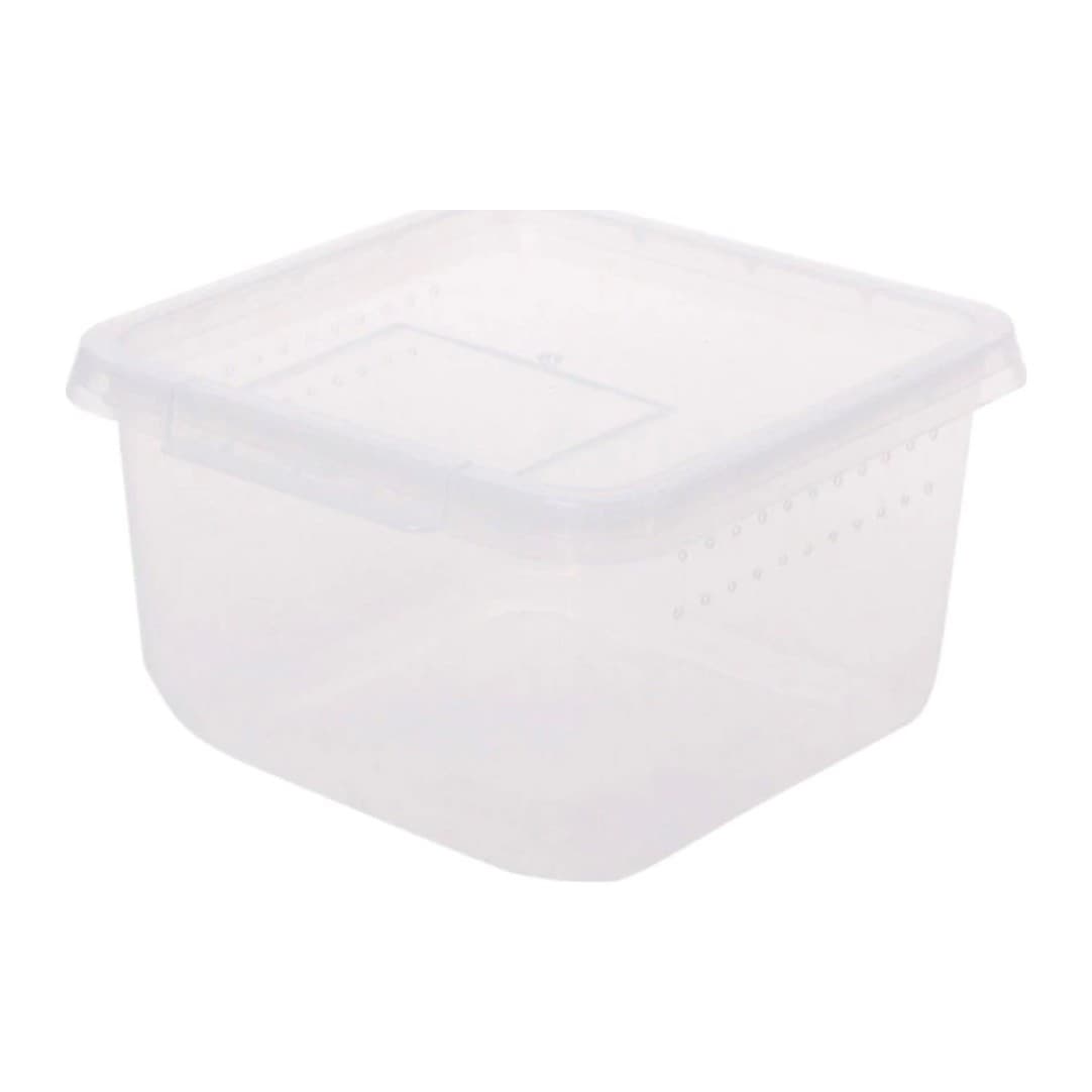 Terrario Insect Box Compact plastterraarium putukatele, 12 x 12 x 7 cm