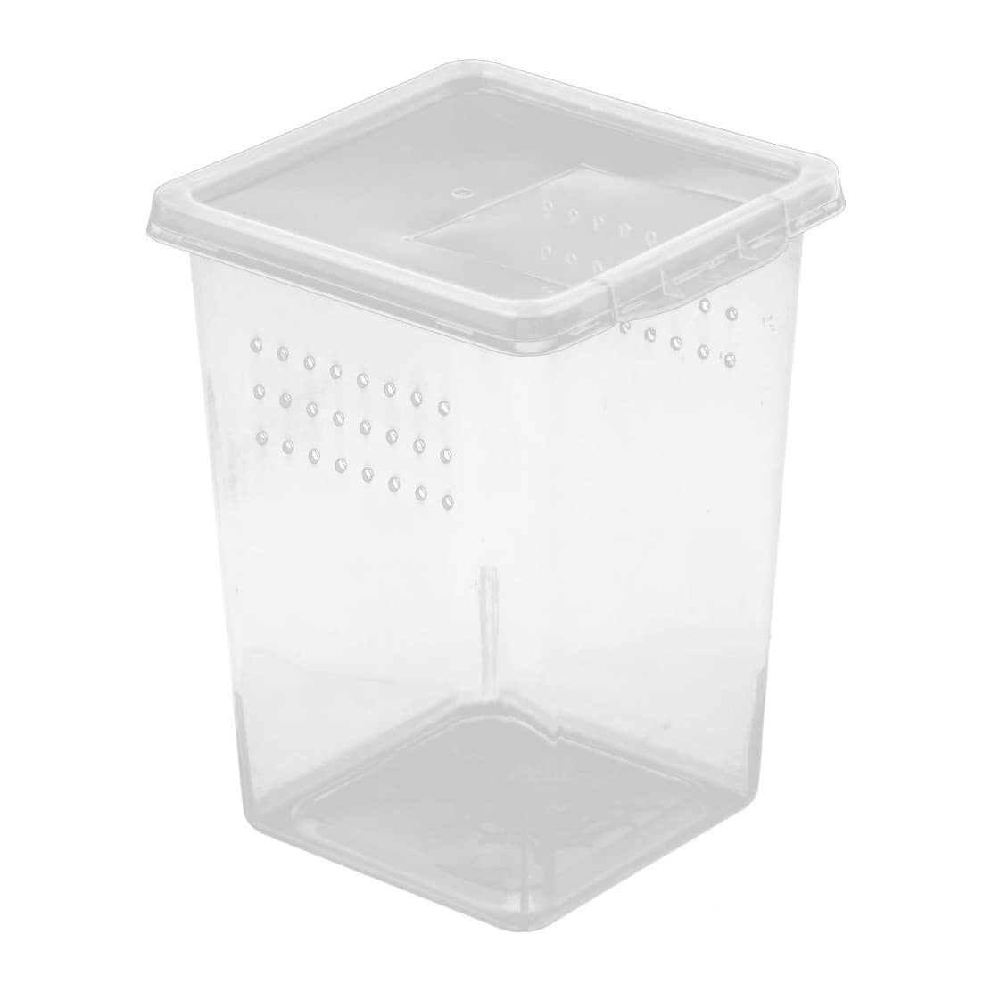Terrario Insect Box High plastterraarium putukatele, 9 x 9 x 11 cm