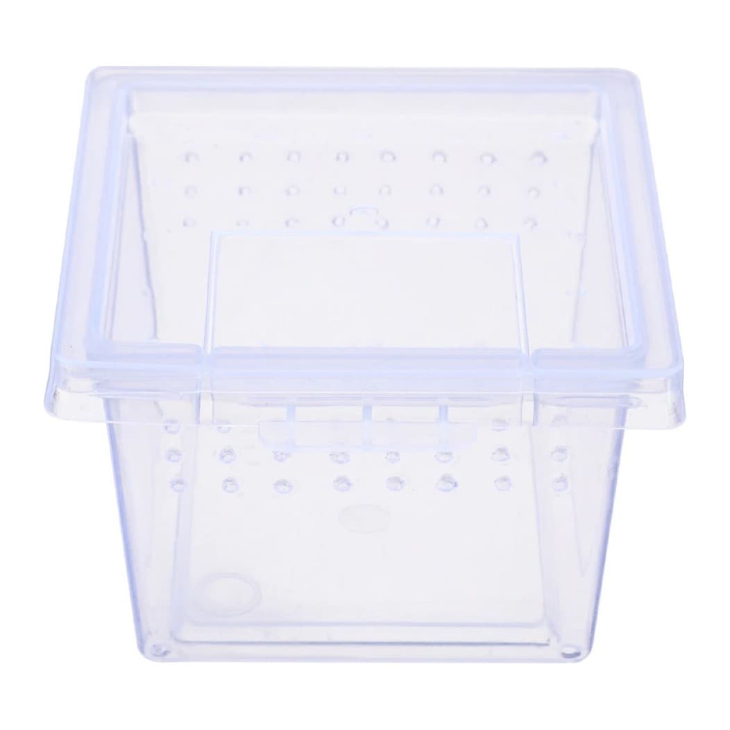 Terrario Insect Box Mini plastterraarium putukatele, 6,5 x 6,5 x 4,5 cm