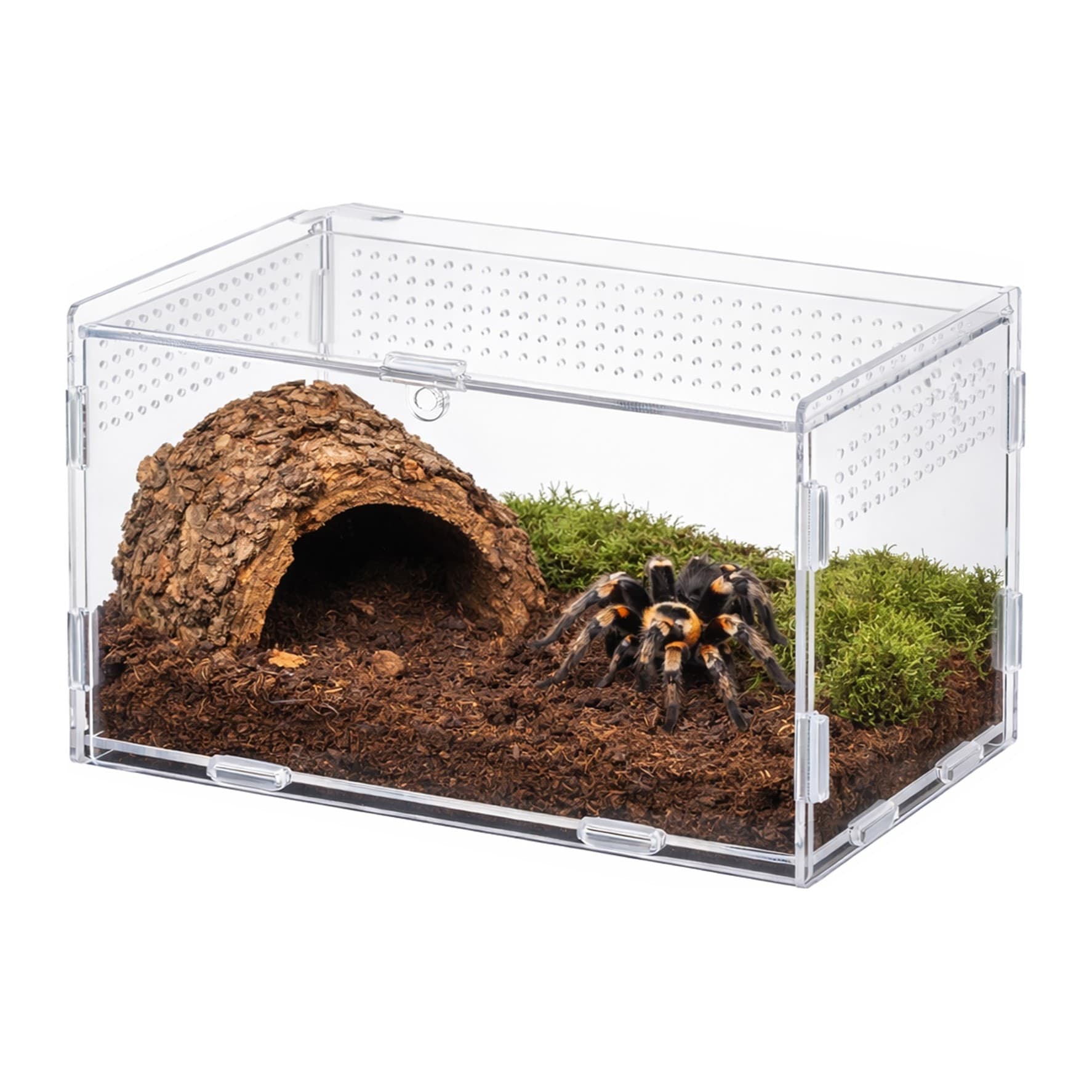 Terrario MicroHab Air akrüülterraarium, 20 x 12 x 12 cm