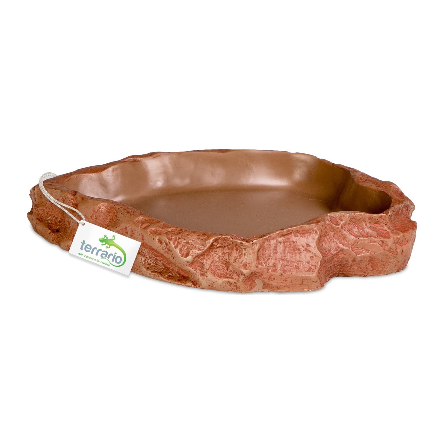 Terrario Natural Bowl Terrarium Bowl, 20 x 17 x 3 cm