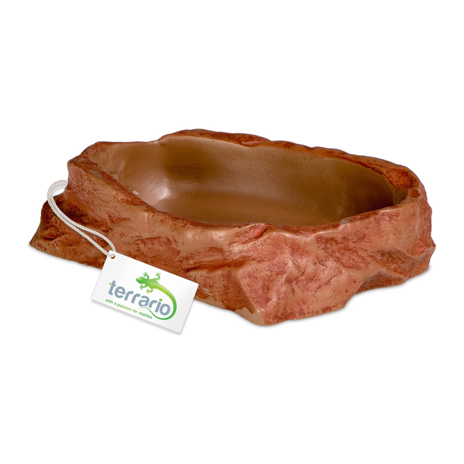 Terrario Natural Bowl M Terrarium Bowl, 11.5 x 9 x 3 cm
