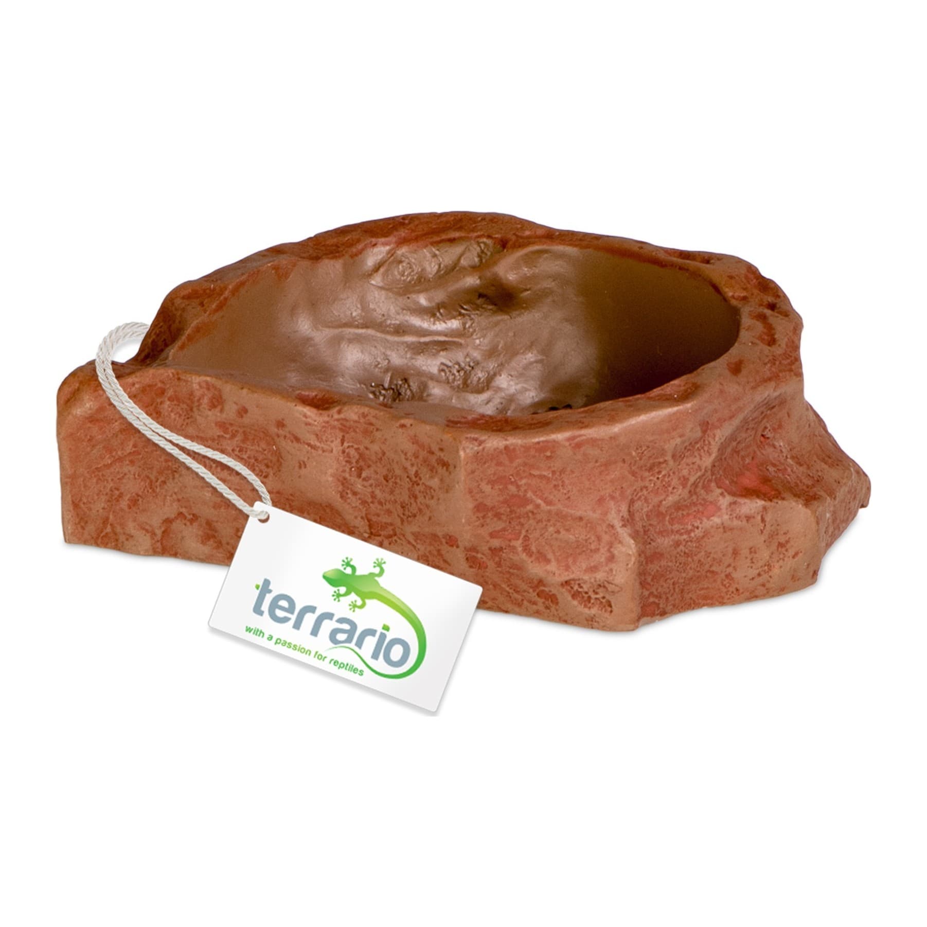 Terrario Natural Bowl S terraariumi kauss, 8 x 7 x 2,5 cm