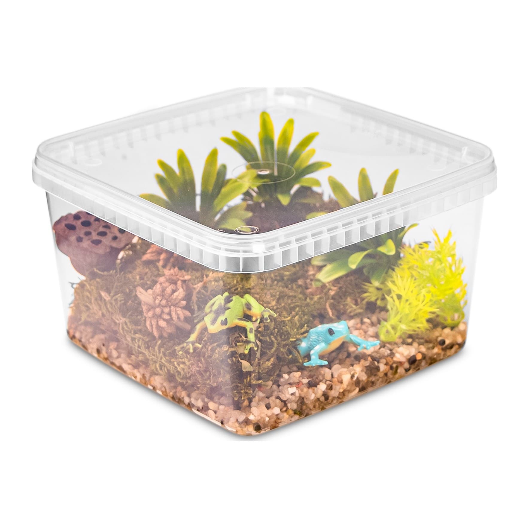 Terrario ReptiBox plastfaunaarium