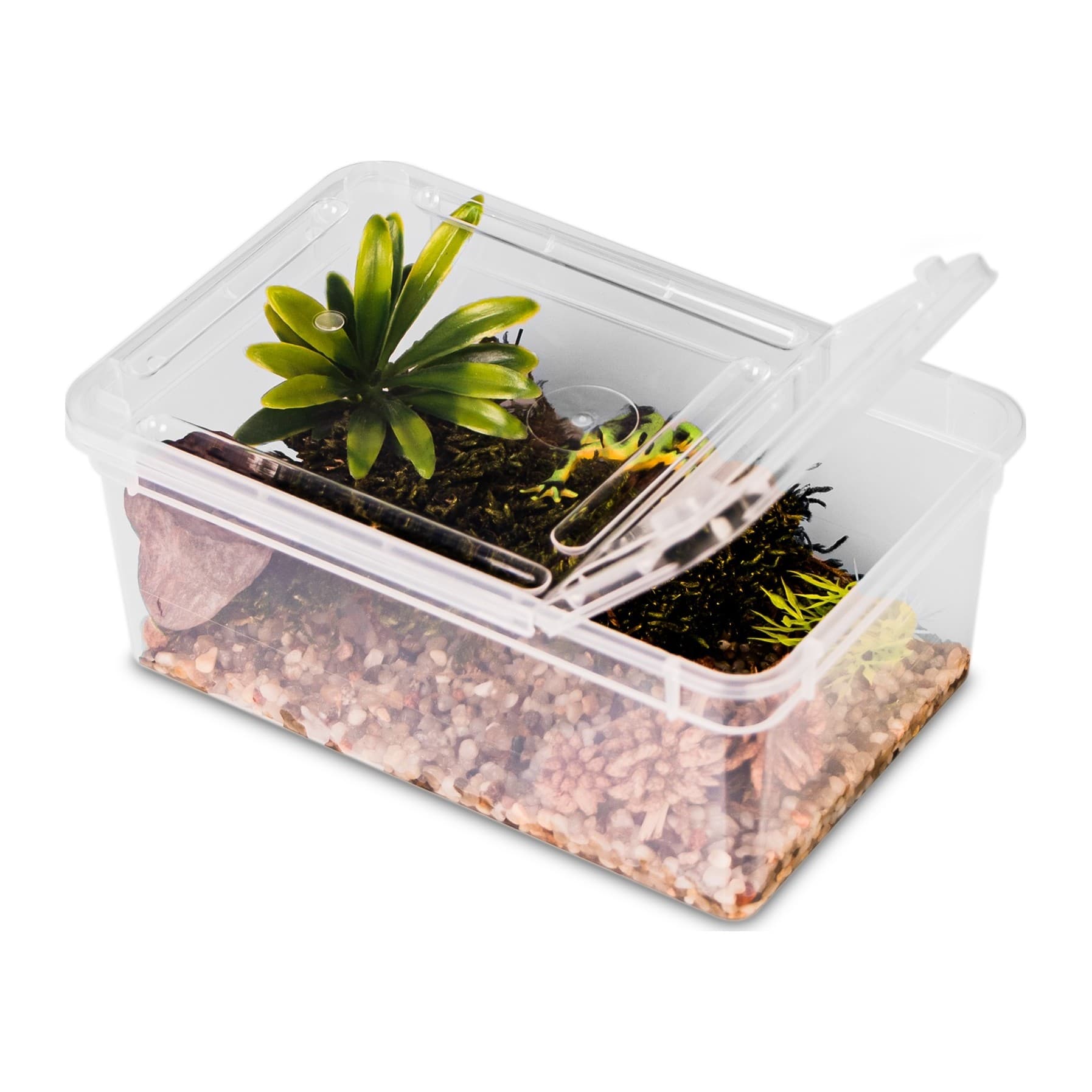 Terrario Reptiland plastfaunaarium 19 x 12 x 7,5 cm