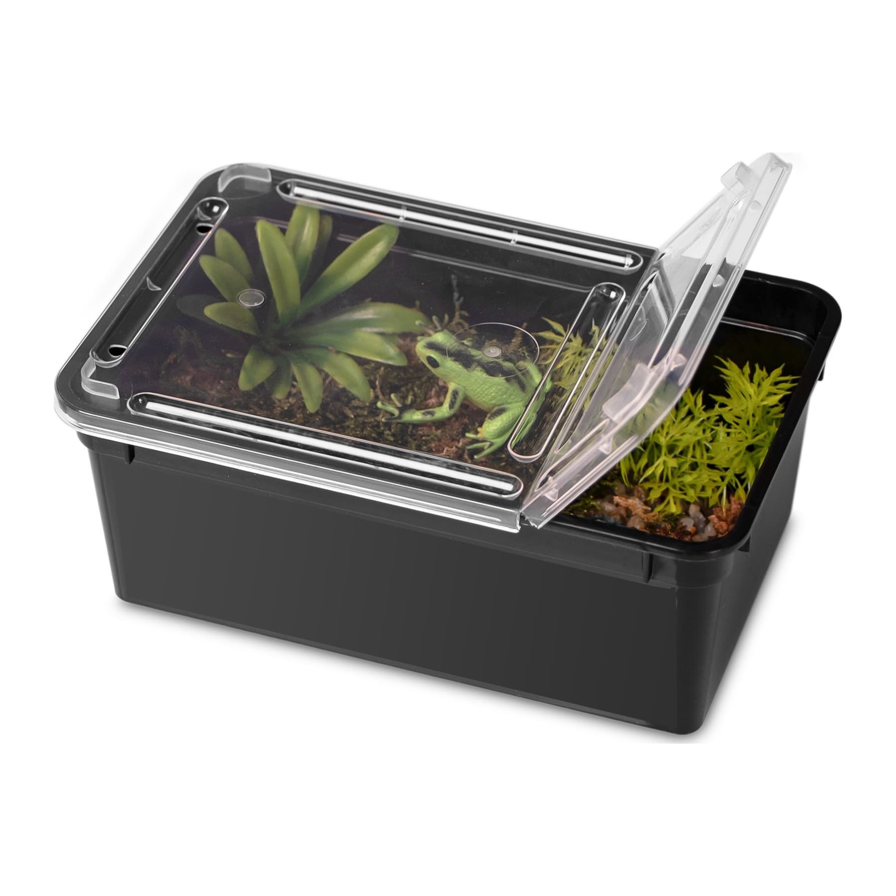 Terrario Reptiland faunaarium must, 19 x 12 x 7,5 cm