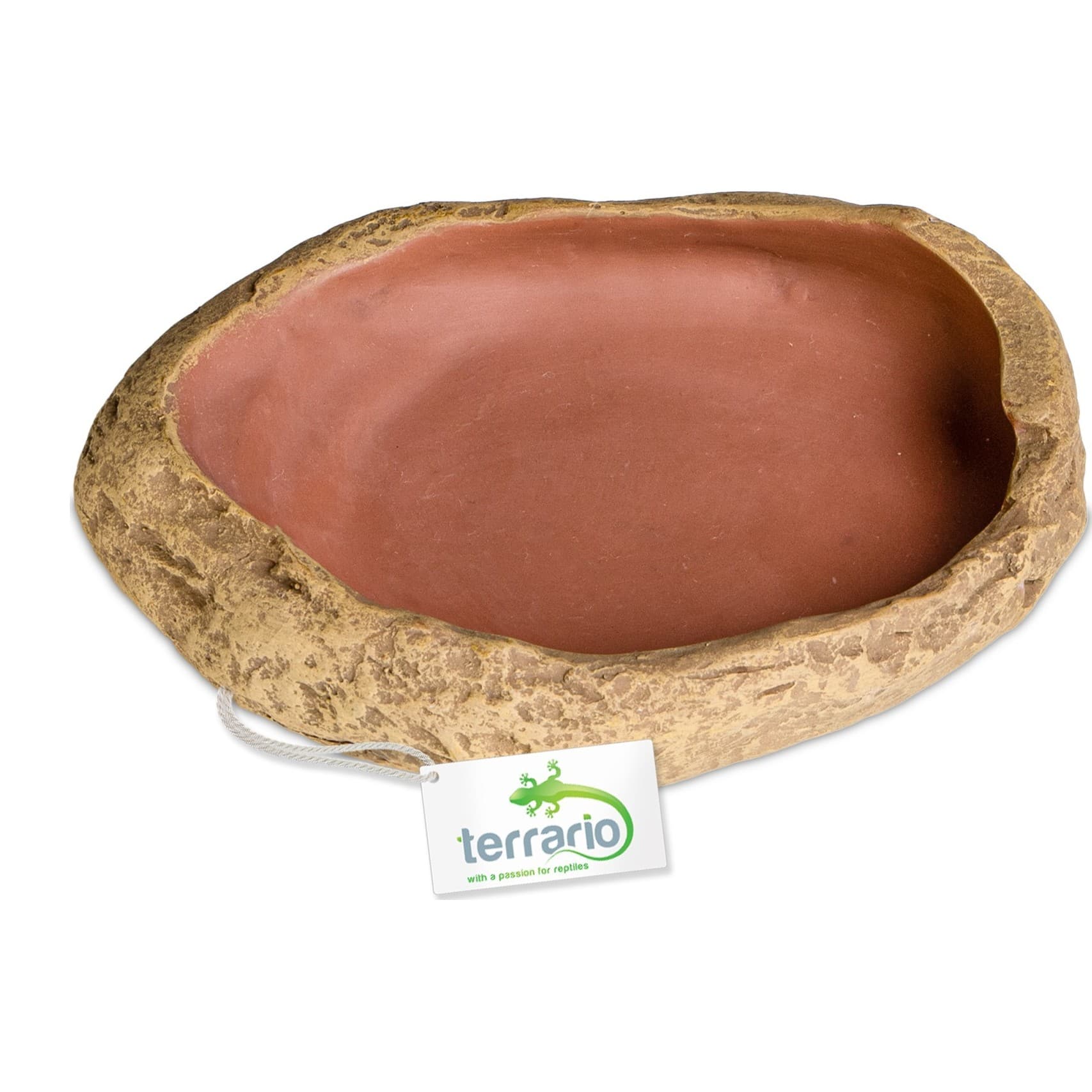 Terrario Rock Oasis M terraariumikauss, 14,5 x 11,5 x 3,5 cm