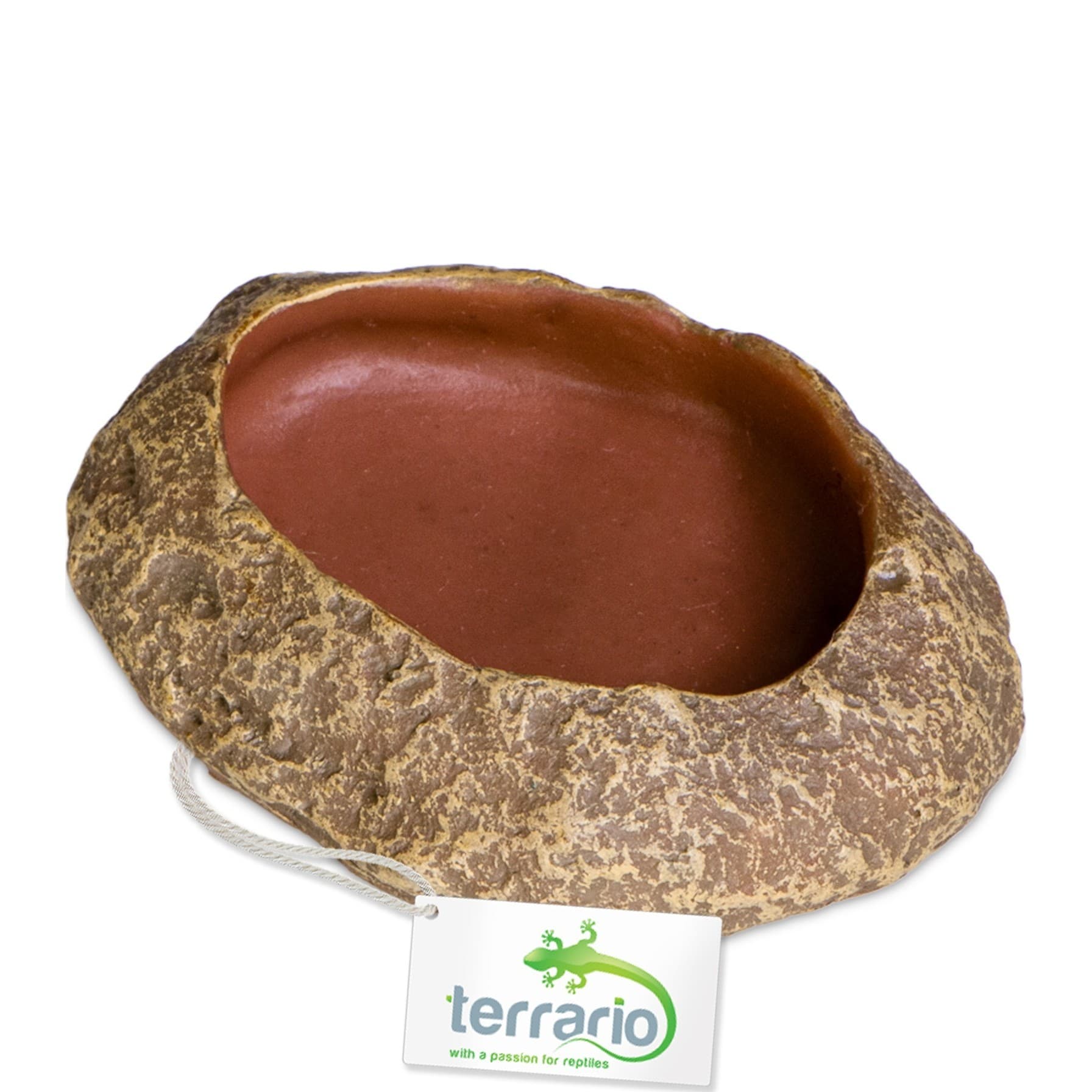 Terrario Rock Oasis XS terraariumikauss, 5,5 x 4 x 1 cm