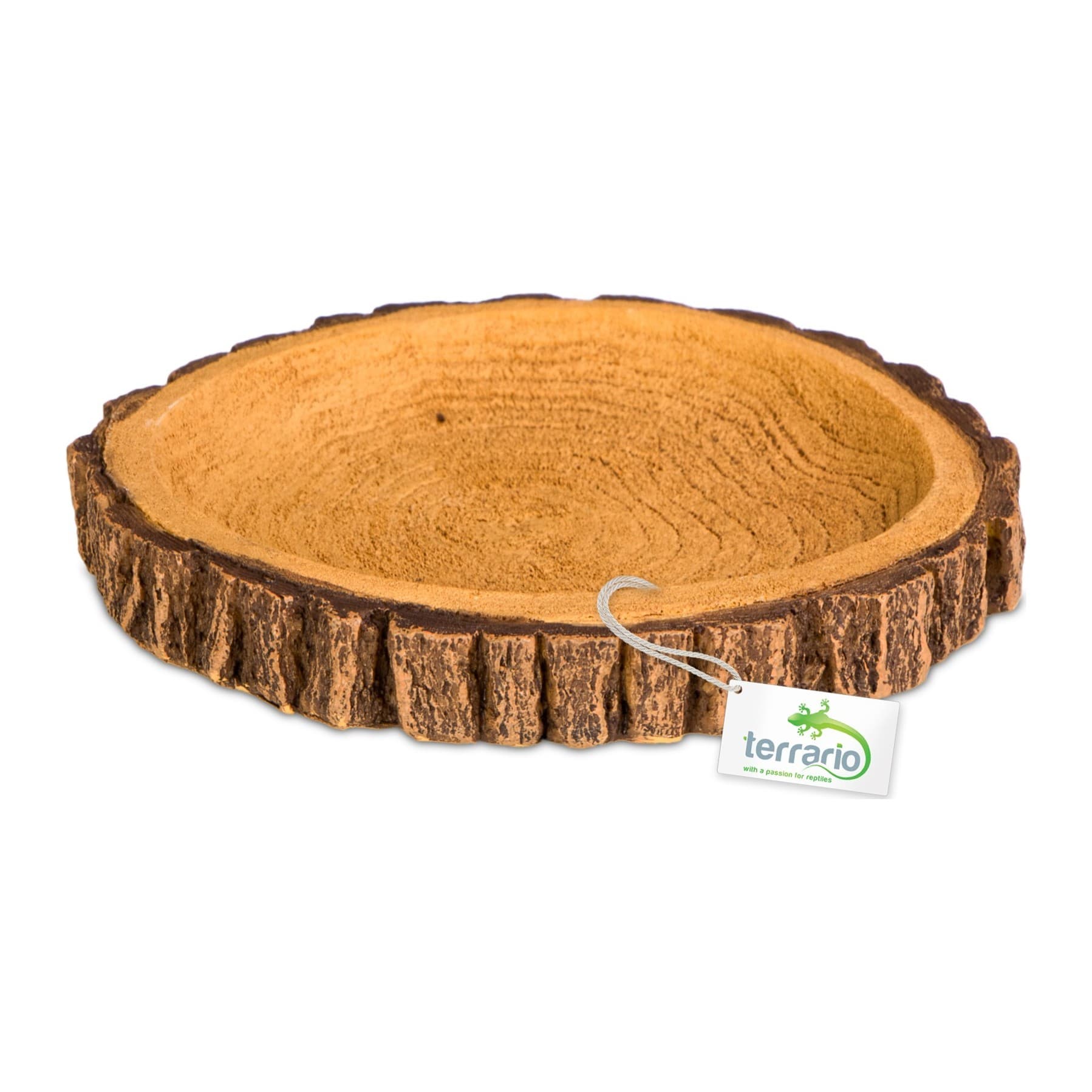 Terrario Tree Ring Bowl M terraariumikauss, 12 x 11 x 1,5 cm