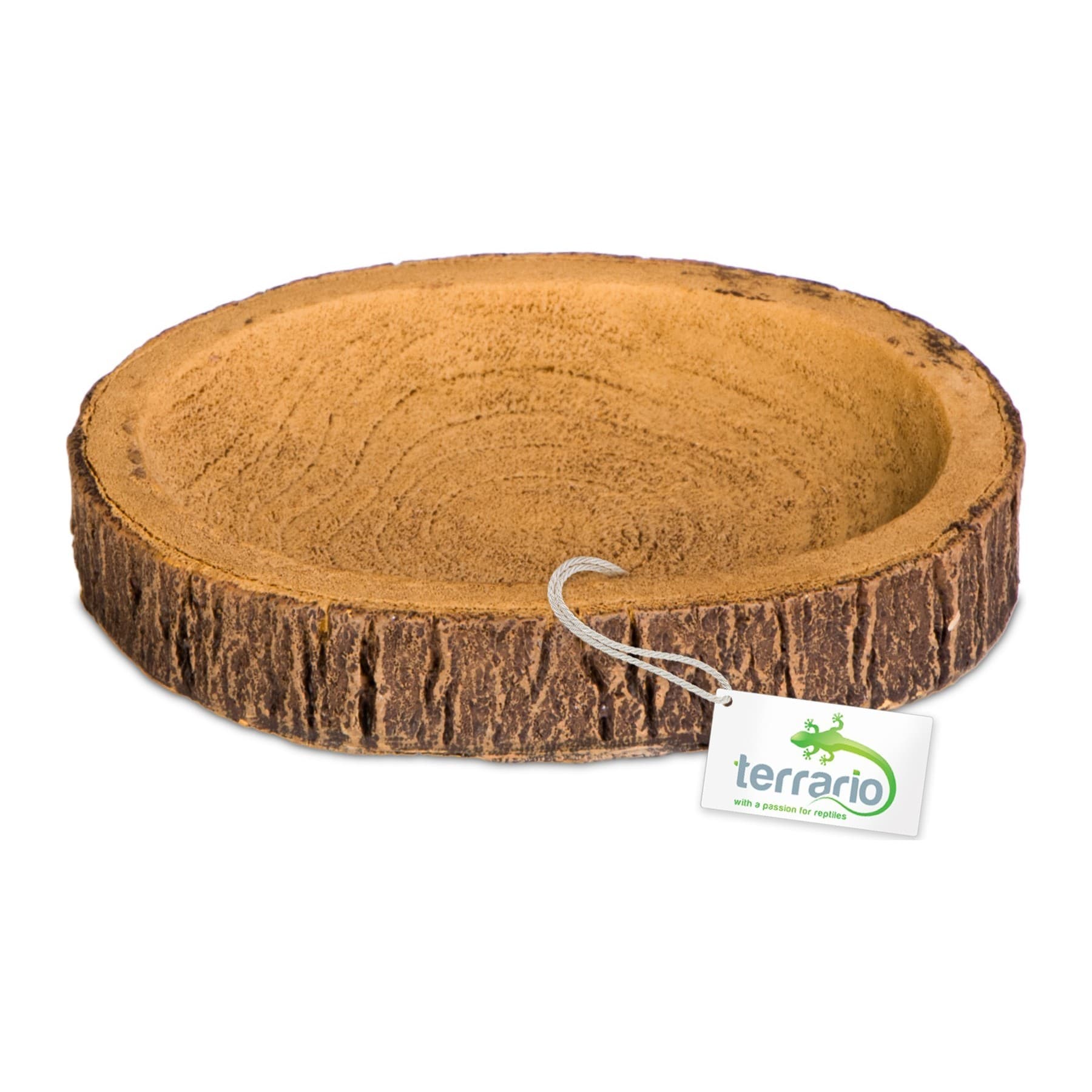 Terrario Tree Ring Bowl S terraariumikauss, 9,5 x 7,5 x 1 cm