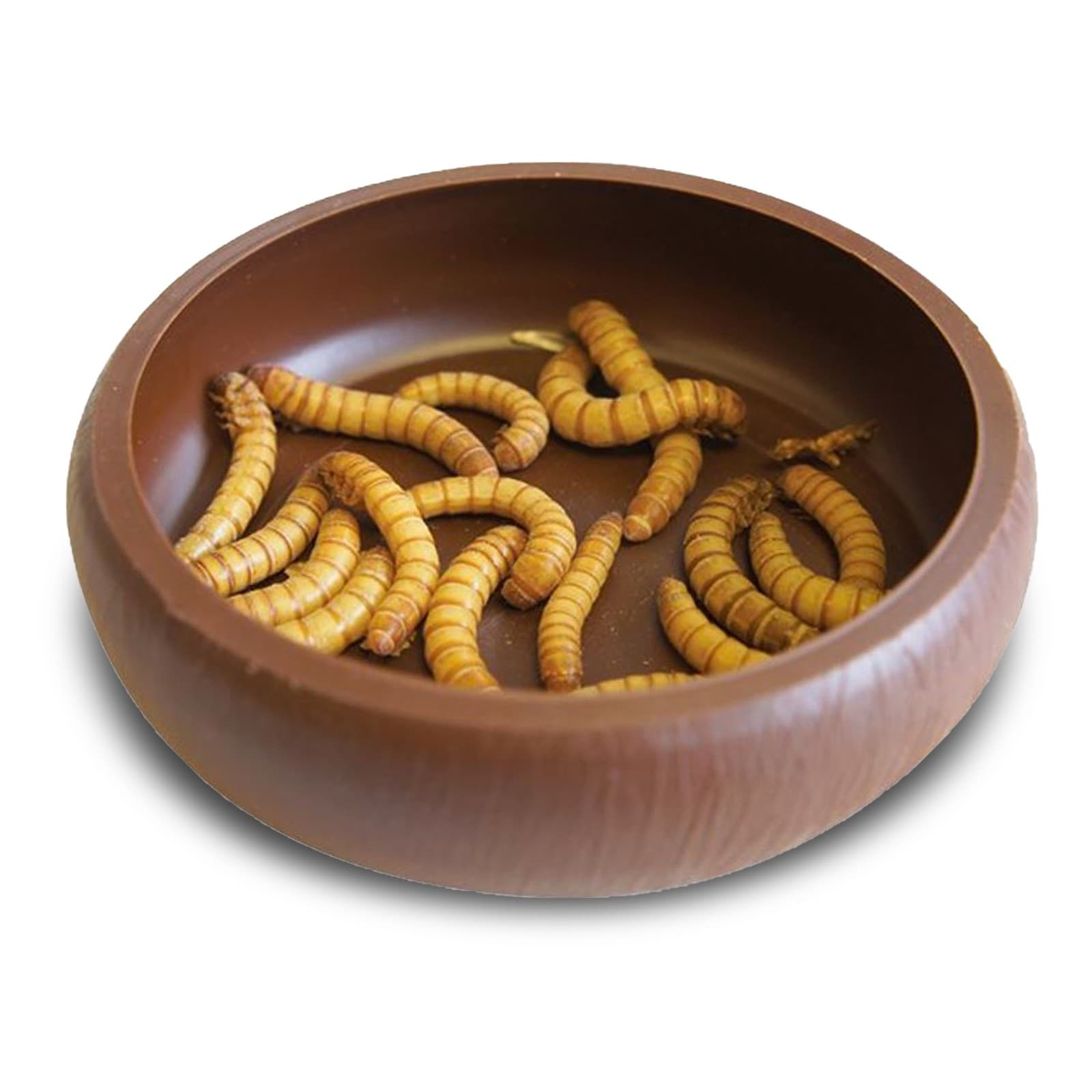 Komodo Mealworm Dish Live Food Bowl