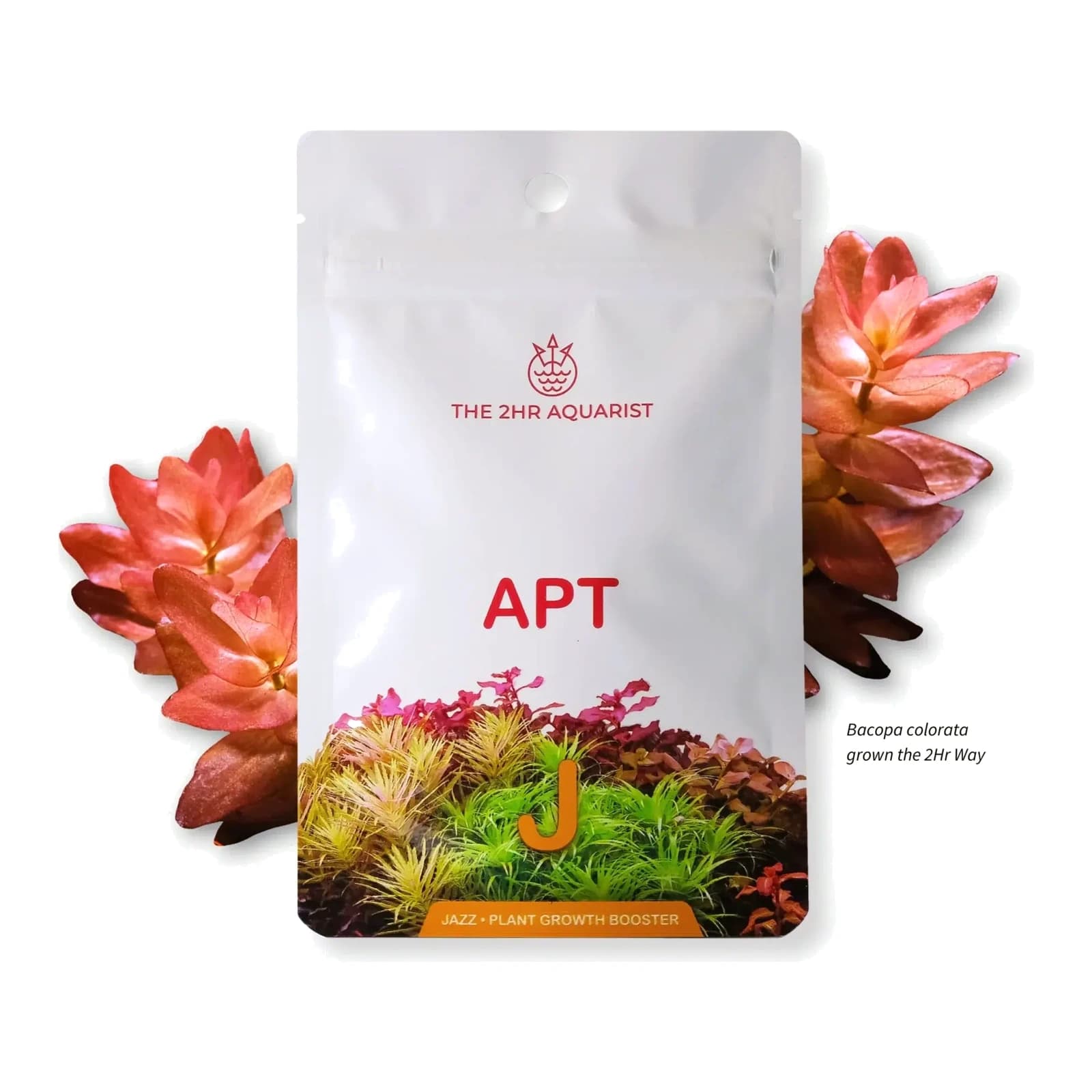 2Hr Aquarist APT Jazz juurekapslid