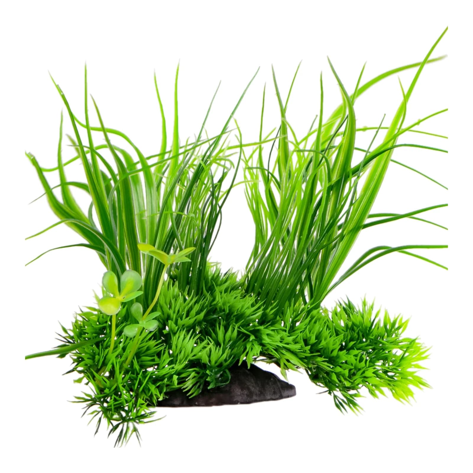 Kruger Meier Plant Grass Meadow kunsttaim