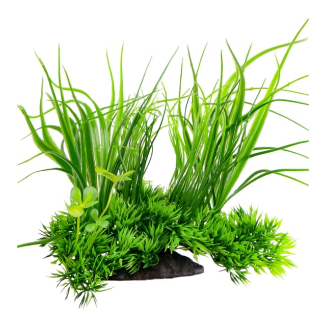 Kruger Meier Plant Grass Meadow kunsttaim