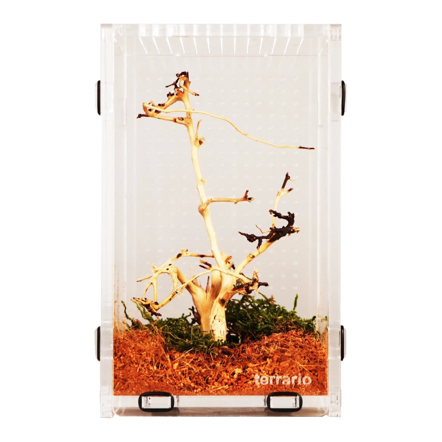 Terrario Mantis Area L Acrylic Insect Terrarium, 12 x 12 x 20 cm