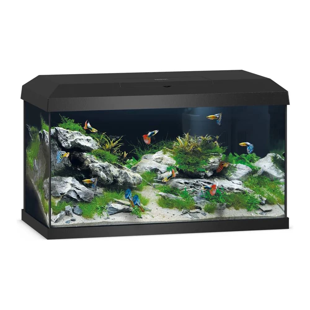 Juwel Primo 60 2.0 black