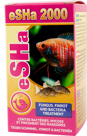 eSHa 2000 20 ml