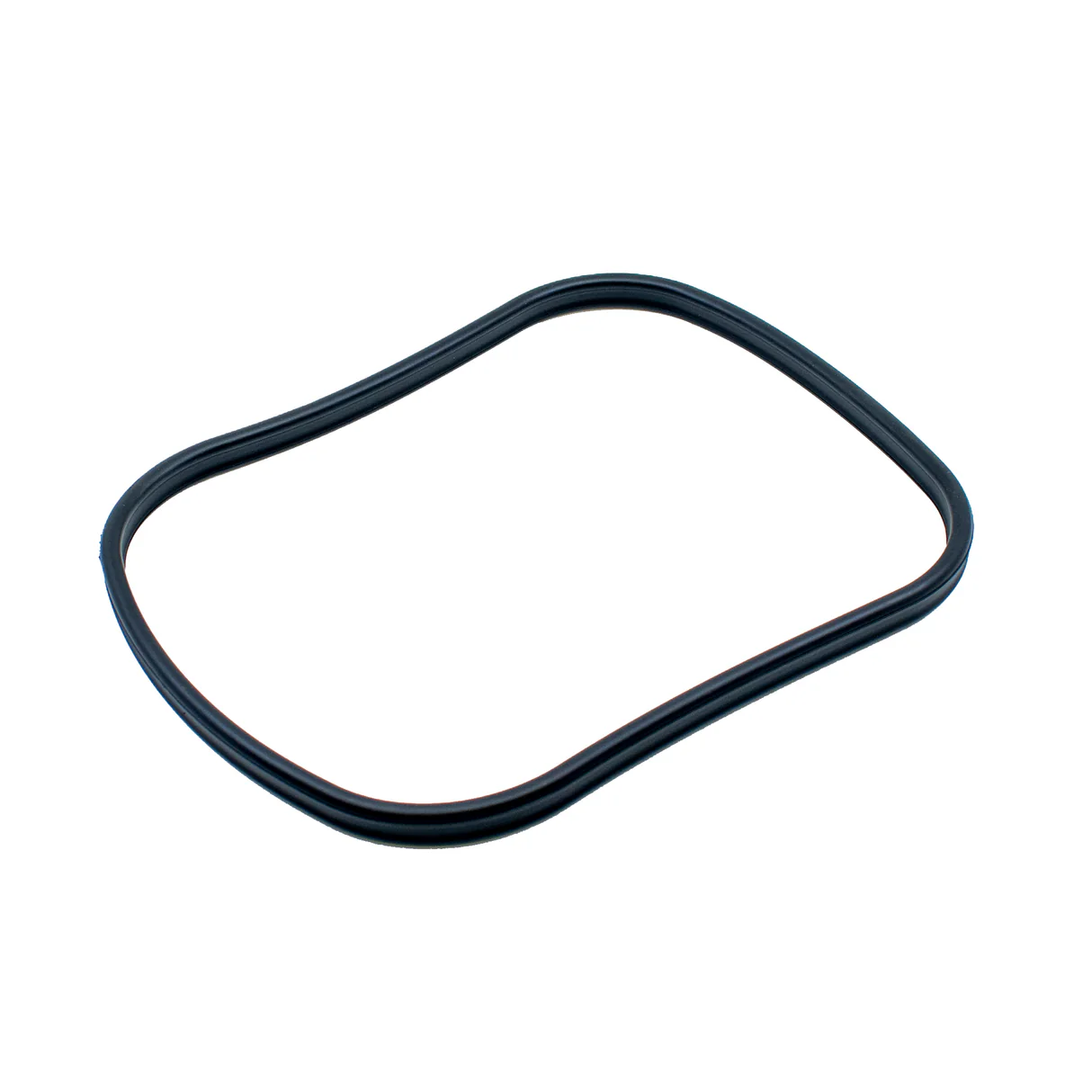 OASE BioMaster Main Gasket