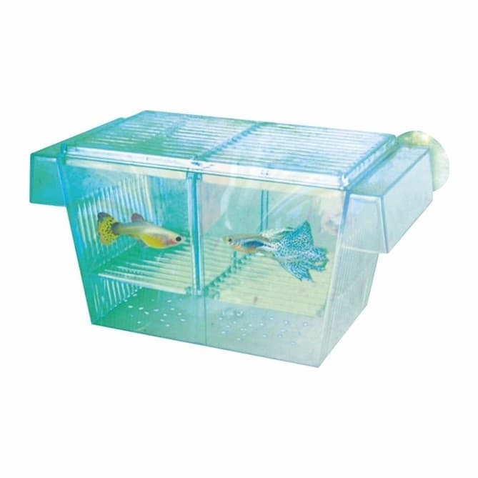 Aqua Nova sünnituskast