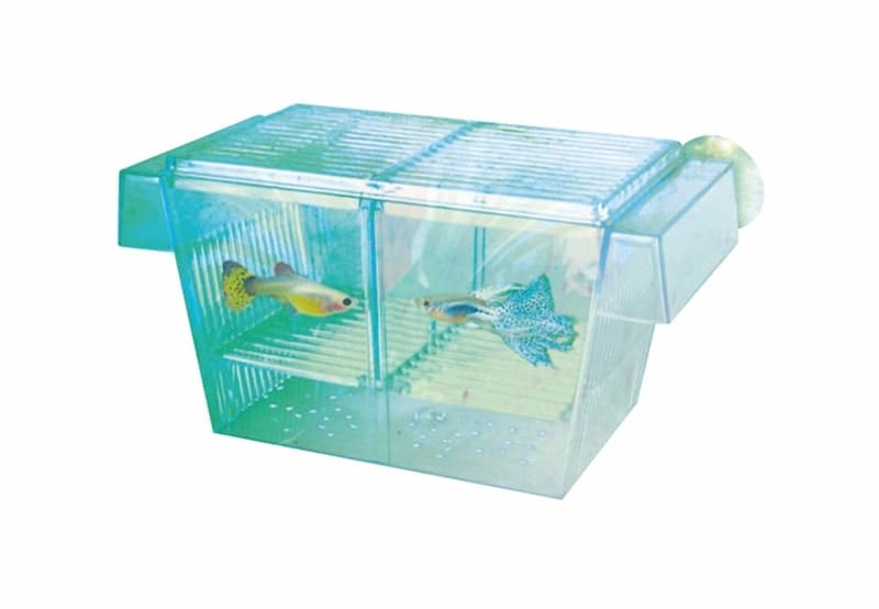 Aqua Nova sünnituskast