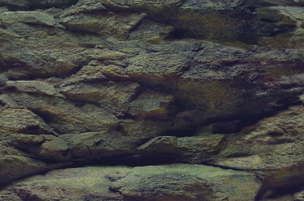 Aqua Nova Aquarium Background Rock / Plants
