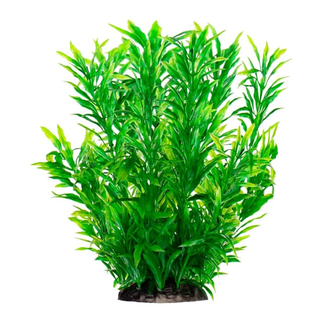 Kruger Meier Plant Flowing kunsttaim