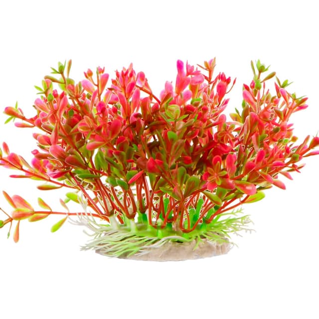 Kruger Meier Plant Fluo Big kunsttaim