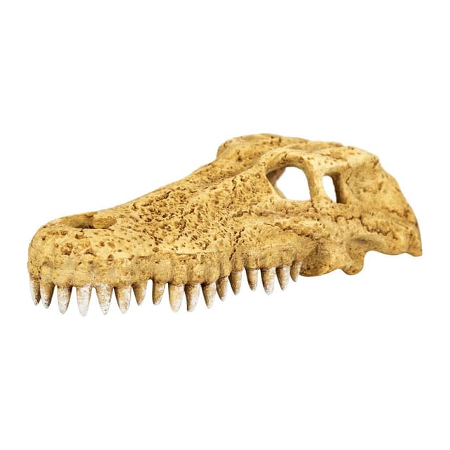 Repti-Zoo Crocodile Skull M krokodillikolba dekoratsioon